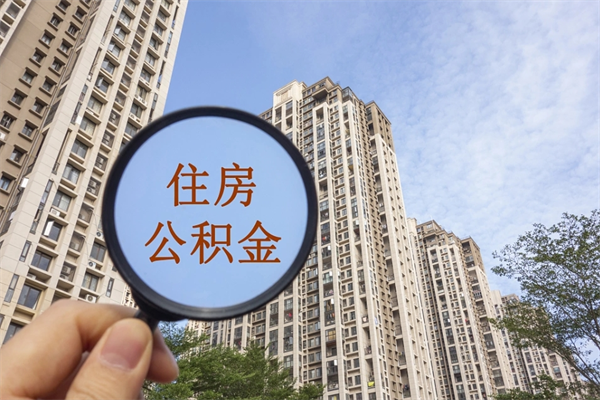 新野离职后可以取出公积金么（离职后可取公积金吗）